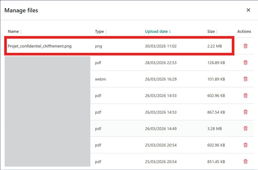 Server file management panel