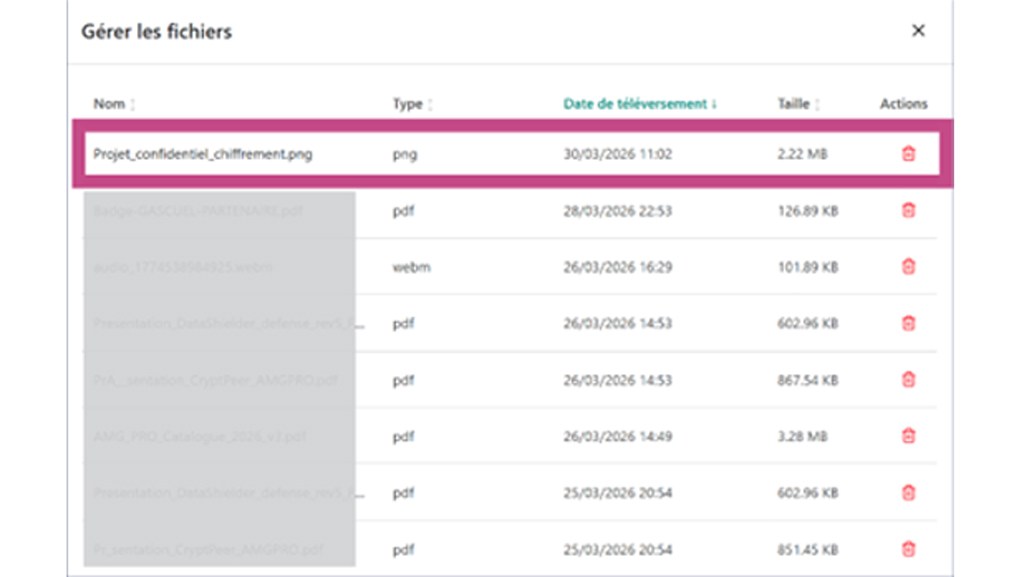 Panneau de gestion des fichiers du serveur